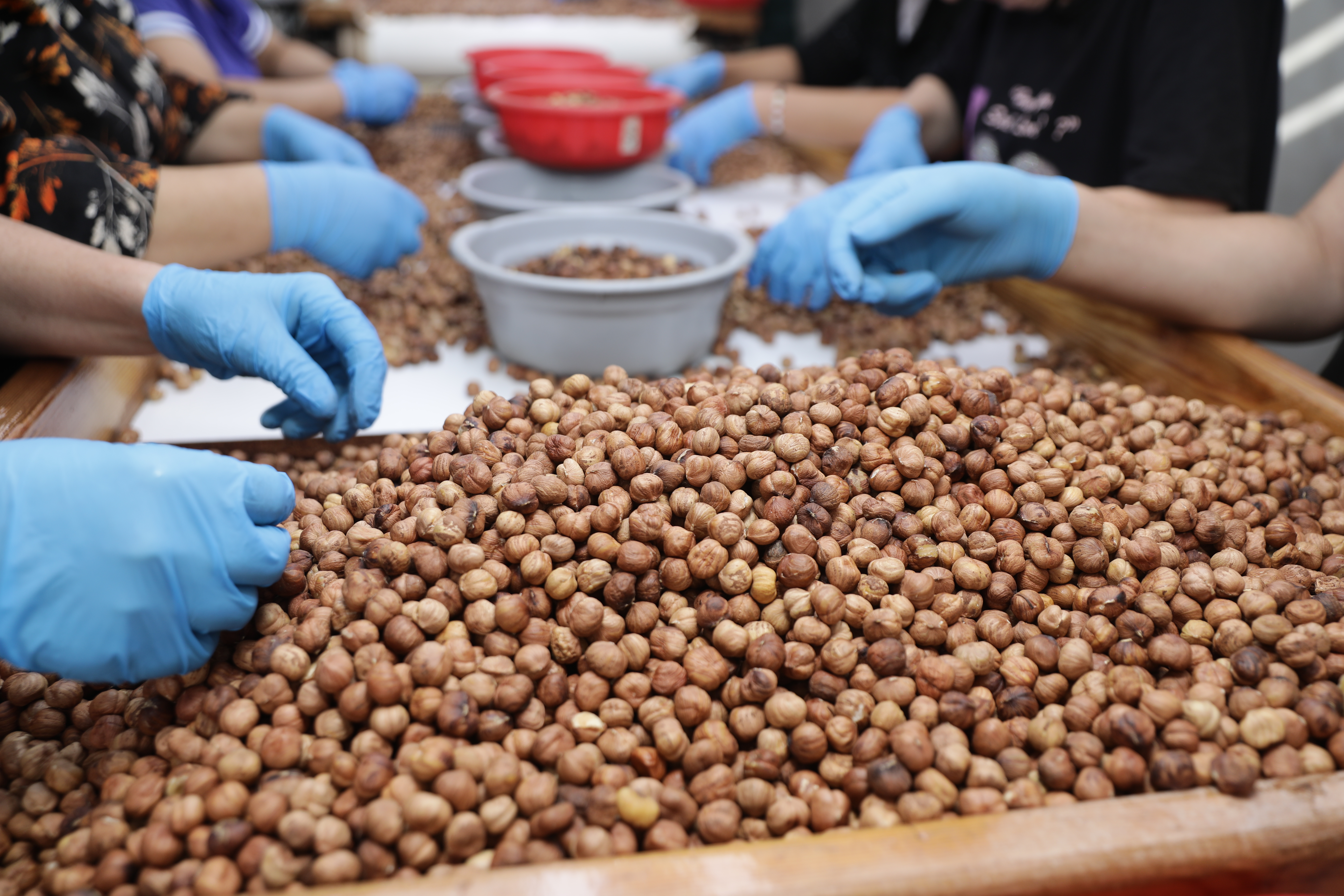 فرز يدوي عن قرب