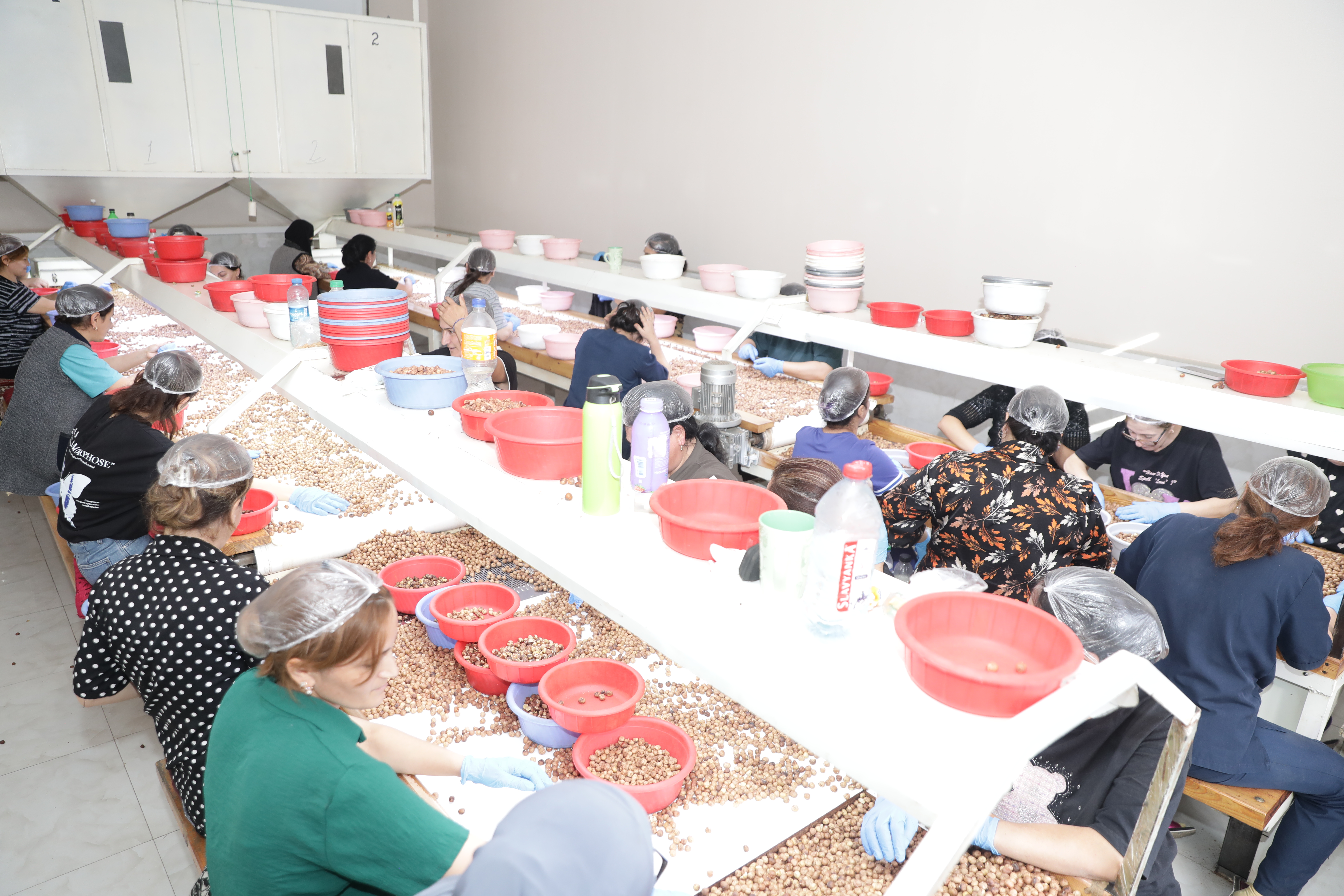 خط الفرز اليدوي